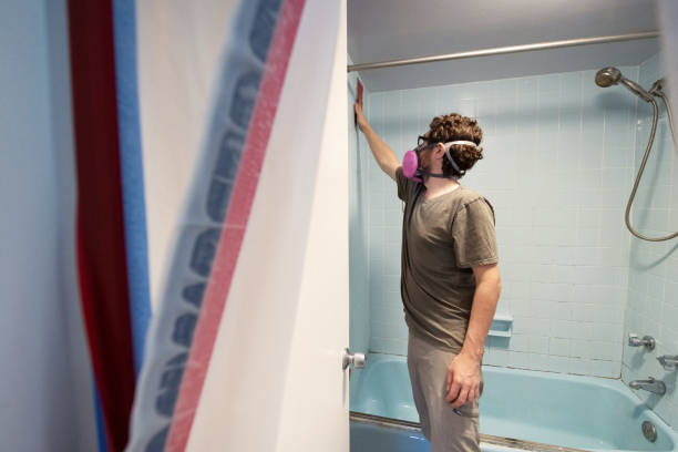 Albion, PA Mold Removal Company